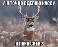 а я точно сделаю кассу в парк сити?