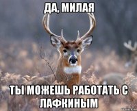 да, милая ты можешь работать с лафкиным