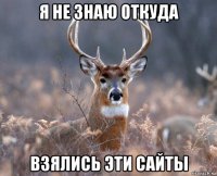 я не знаю откуда взялись эти сайты