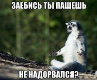 заебись ты пашешь не надорвался?