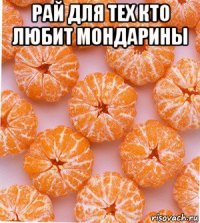 рай для тех кто любит мондарины 