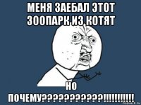 меня заебал этот зоопарк из котят но почему???????????!!!!!!!!!!!