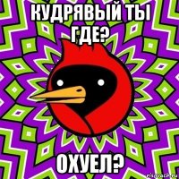 кудрявый ты где? охуел?