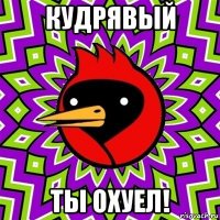 кудрявый ты охуел!