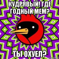 кудрявый! где годный мем? ты охуел?