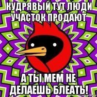 кудрявый тут люди участок продают а ты мем не делаешь блеать!