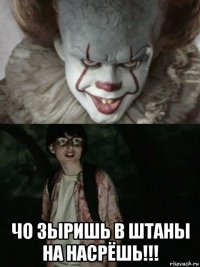  чо зыришь в штаны на насрёшь!!!