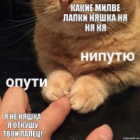 КАКИЕ МИЛВЕ ЛАПКИ НЯШКА НЯ НЯ НЯ Я НЕ НЯШКА Я ОТКУШУ ТВОЙ ПАЛЕЦ!