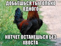 добьёшься ты только одного котчет останешься без хвоста