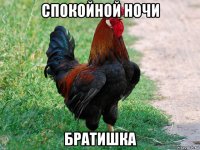 спокойной ночи братишка