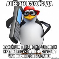 алёё это сухой? да сухой:шо те надо игрок:вип и кредиты сухой:окей спустя 1 час игрок был забанен