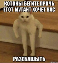 котоны бегите прочь етот мутант хочет вас разебашыть