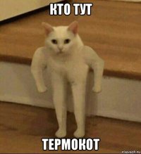 кто тут термокот