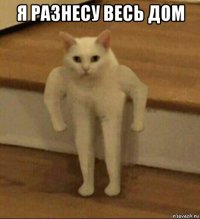 я разнесу весь дом 