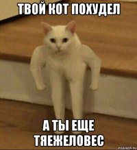 твой кот похудел а ты еще тяежеловес