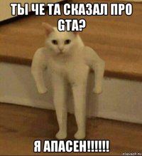 ты че та сказал про gta? я апасен!!!!!!