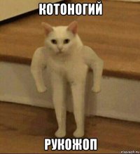 котоногий рукожоп