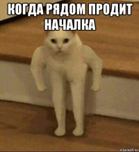 когда рядом продит началка 