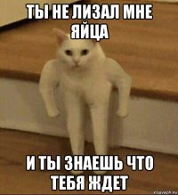 ты не лизал мне яйца и ты знаешь что тебя ждет