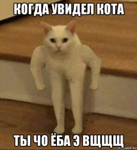 когда увидел кота ты чо ёба э вщщщ