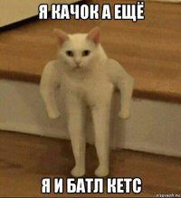 я качок а ещё я и батл кетс