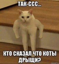 так-ссс... кто сказал что коты дрыщи?