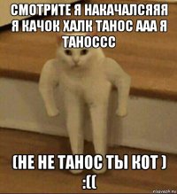 смотрите я накачалсяяя я качок халк танос ааа я таноссс (не не танос ты кот ) :((