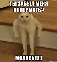 ты забыл меня покормить? молись!!!!!