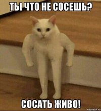 ты что не сосешь? сосать живо!