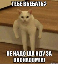 тебе вьебать? не надо ща иду за вискасом!!!!