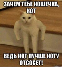 зачем тебе кошечка, кот ведь кот лучше коту отсосет!