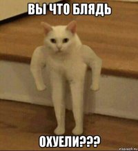 вы что блядь охуели???