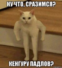 ну что, сразимся? кенгуру падлов?