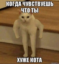 когда чувствуешь что ты хуже кота