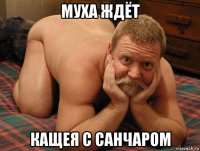 муха ждёт кащея с санчаром