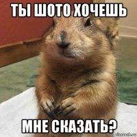 ты шото хочешь мне сказать?