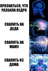 Признаться, что разбила ведро Свалить на деда Свалить на маму Свалить из дома