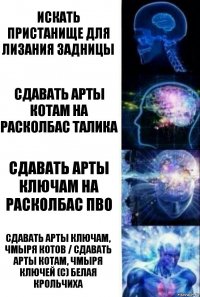 Искать пристанище для лизания задницы Сдавать арты котам на расколбас талика Сдавать арты ключам на расколбас пво Сдавать арты ключам, чмыря котов / сдавать арты котам, чмыря ключей (с) Белая Крольчиха