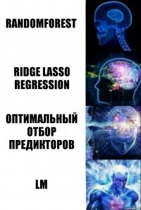 RandomForest Ridge Lasso regression Оптимальный отбор предикторов LM