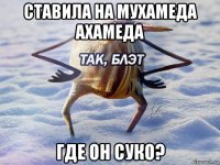 ставила на мухамеда ахамеда где он суко?