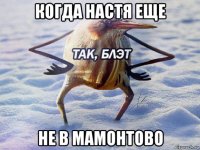 когда настя еще не в мамонтово