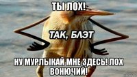 ты лох! ну мурлыкай мне здесь! лох вонючий!