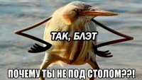  почему ты не под столом??!