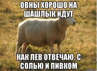 овны хорошо на шашлык идут как лев отвечаю. с солью и пивком