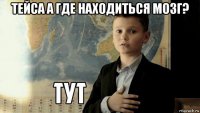 тейса а где находиться мозг? 