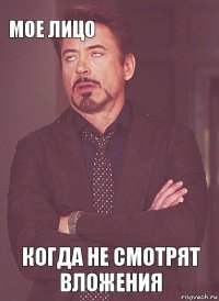 МОЕ ЛИЦО    КОГДА НЕ СМОТРЯТ ВЛОЖЕНИЯ  