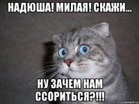 надюша! милая! скажи... ну зачем нам ссориться?!!!