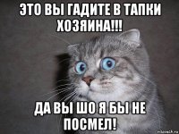 это вы гадите в тапки хозяина!!! да вы шо я бы не посмел!