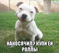  накосячил? купи ей роллы