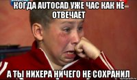 когда autocad уже час как не отвечает а ты нихера ничего не сохранил